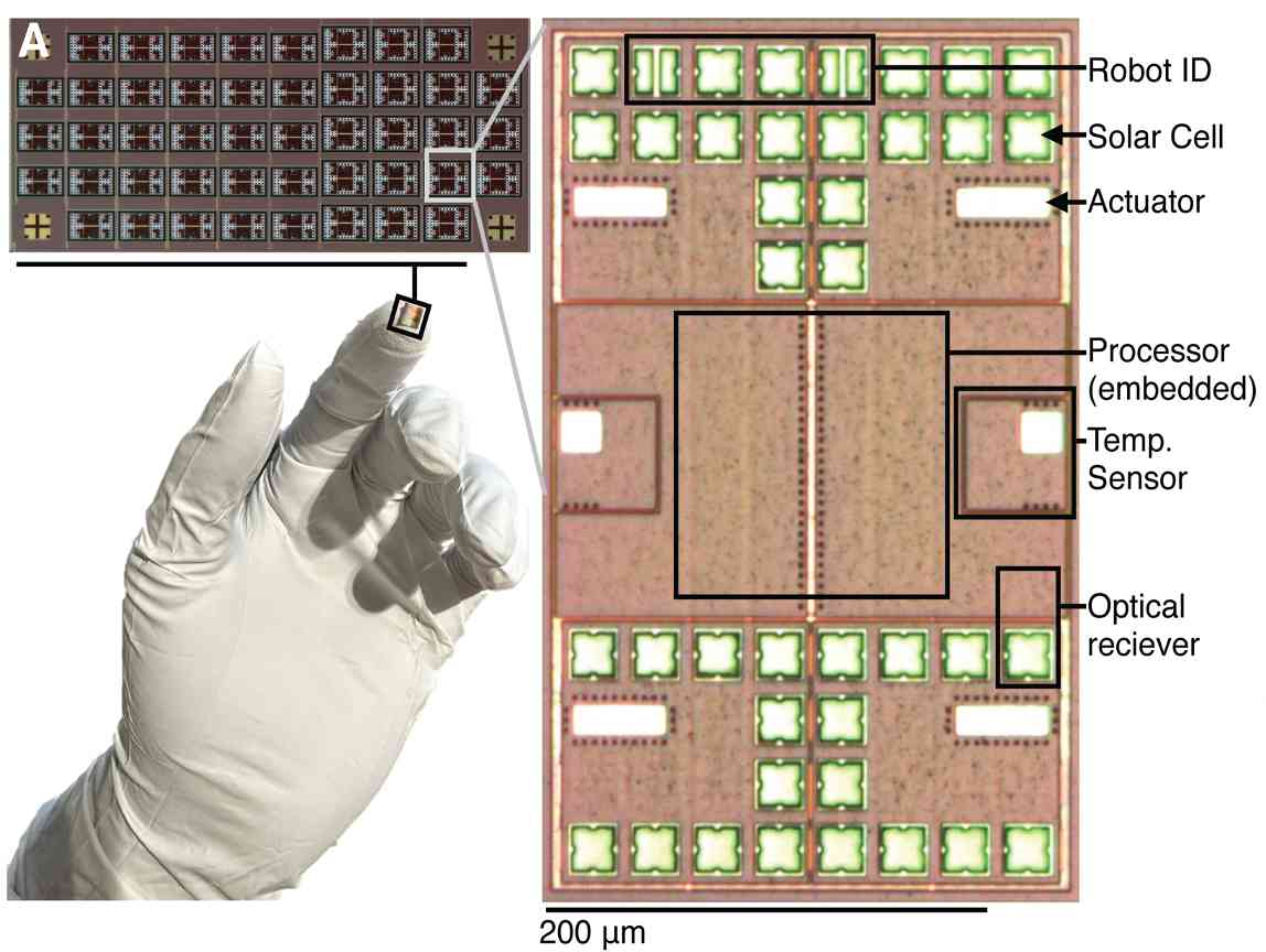 微型机器人技术突破：毫米级自主机器人实现体内修复新可能