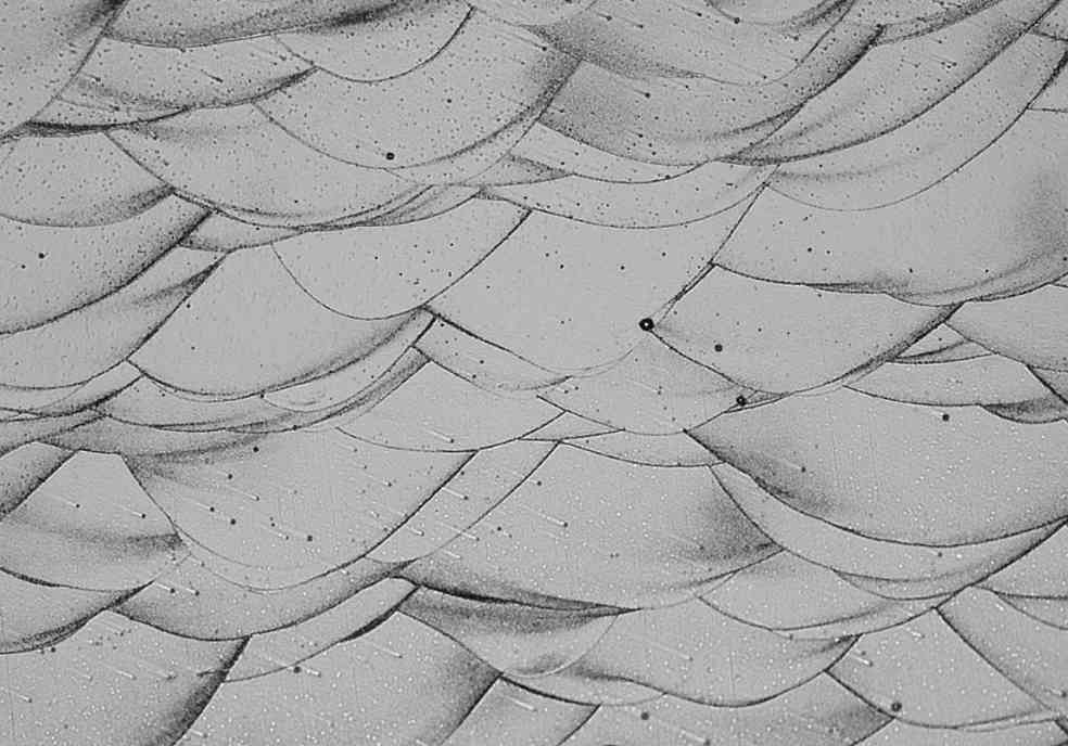 新型3D打印铝合金突破高温性能瓶颈，轻量化材料应用前景广阔