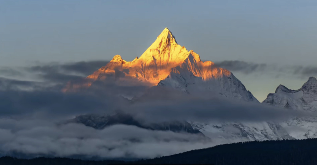 沉默的火种：第一批电动车主今安在？